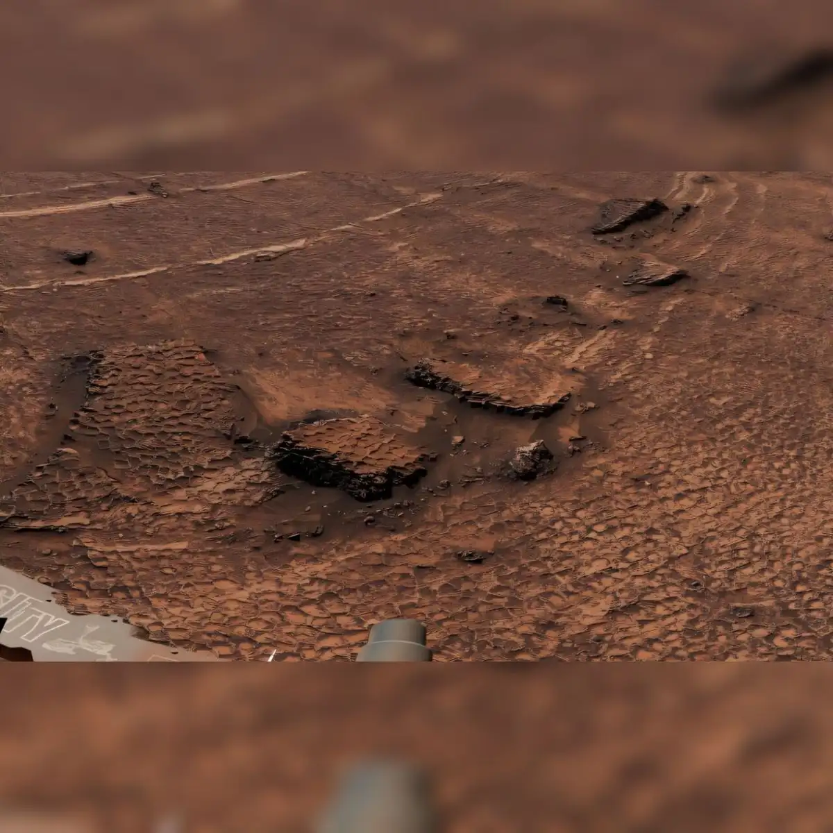 El rover Curiosity de la NASA capturó esta vista de cerca, revelando la distintiva textura de panal de abeja de estas fracturas poligonales. Foto: NASA/JPL-Caltech/MSSS