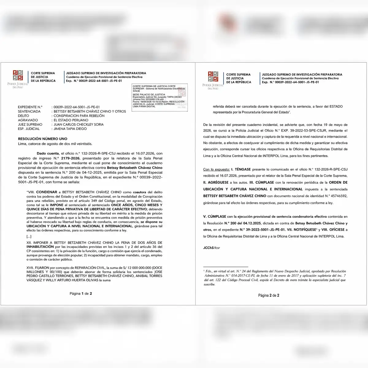Resolución del juez Juan Carlos Checkley.