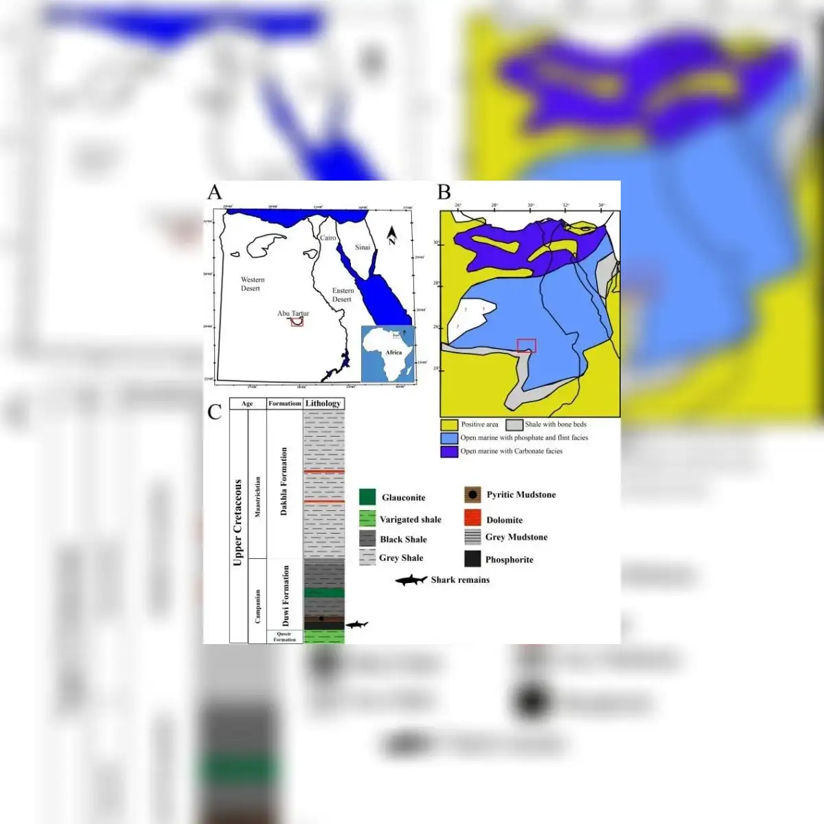 Diagrama que ilustra cómo los océanos cubrían la región en el pasado. Foto: Yassin et al., Cretac. Res. , 2026