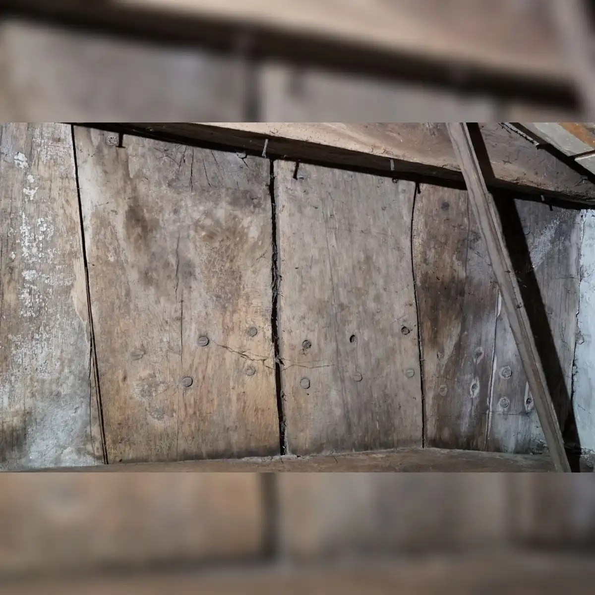 Las vigas del casco de un barco medieval encontradas en Constanza, Alemania. Foto: Landesamt für Denkmalpflege (LAD)