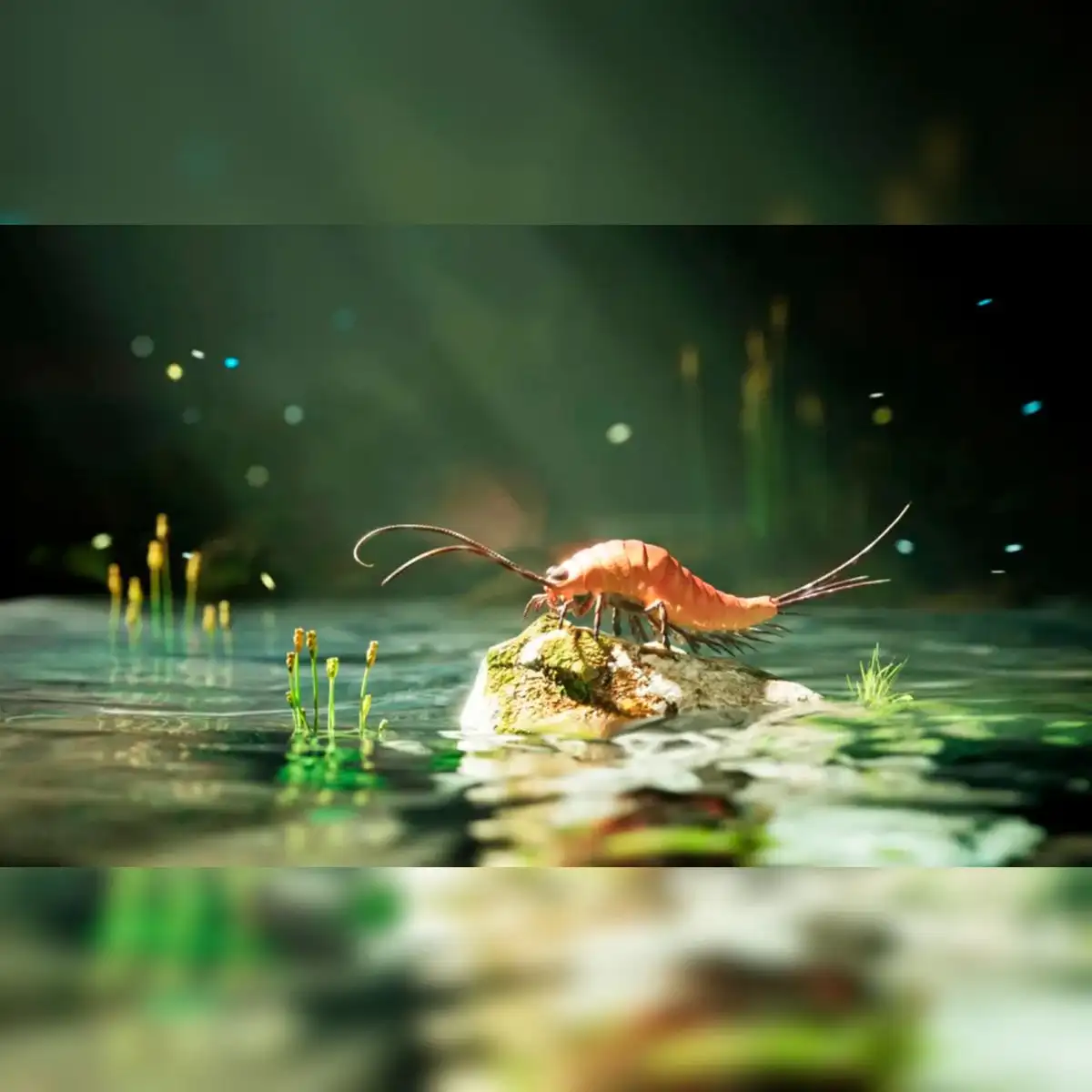 Esta especie ayuda a los científicos a reconsiderar la trayectoria evolutiva que siguieron los insectos desde el agua hasta la tierra. Foto: Chao Tan