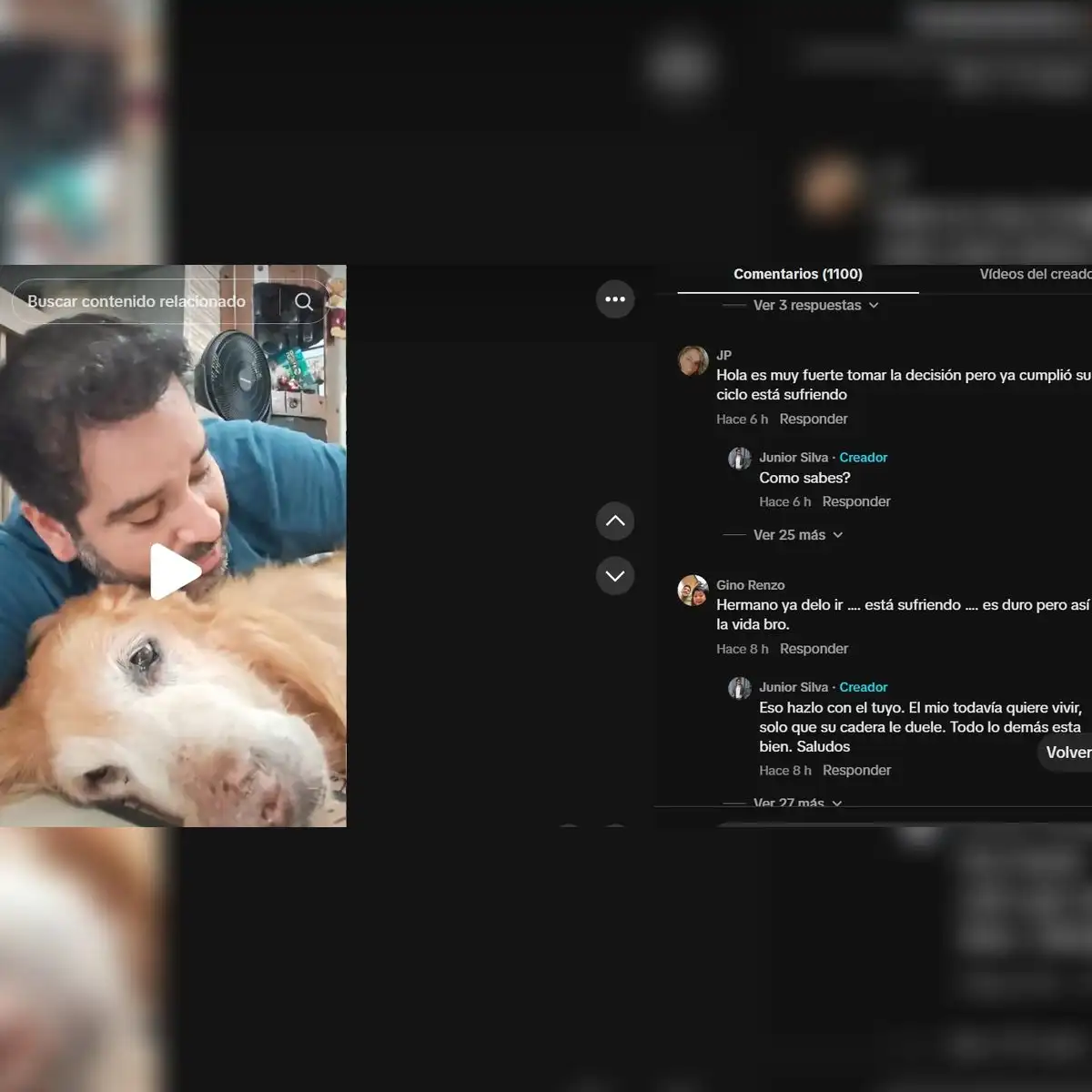 Ante las reacciones de sus seguidores sobre la situación de su perro, Junior Silva enfatiza que Bronco sigue deseando vivir, aunque su salud sea un desafío.
