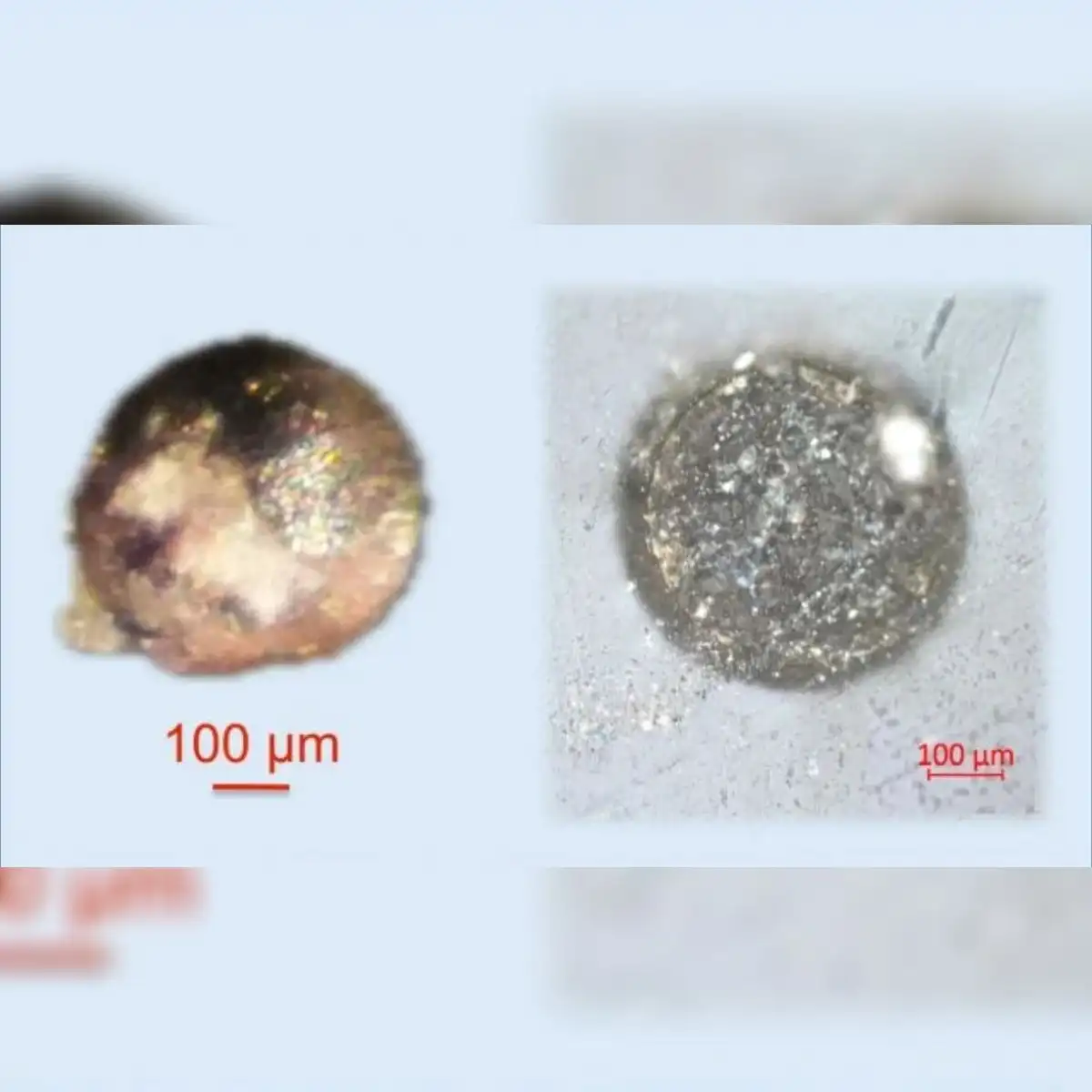 La diminuta esfera de hiroshimaíta que contenía la nueva aleación. Foto: Science Advances