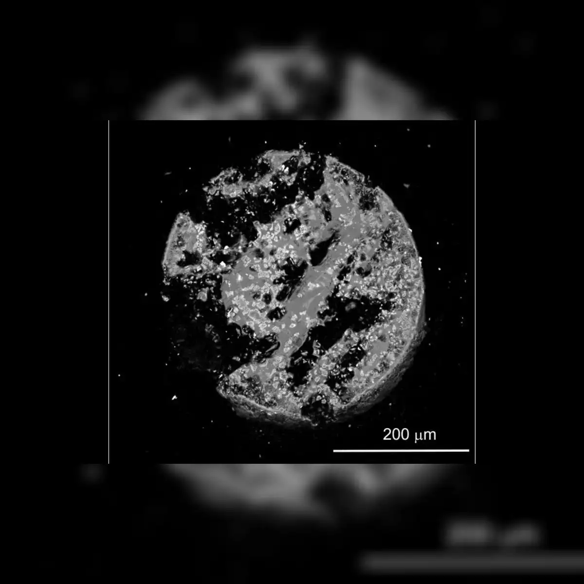 Sección transversal obtenida mediante microscopía electrónica de barrido (SEM) de la esférula completa de hiroshimaíta, con material metálico disperso en el vidrio. Foto: Science Advances