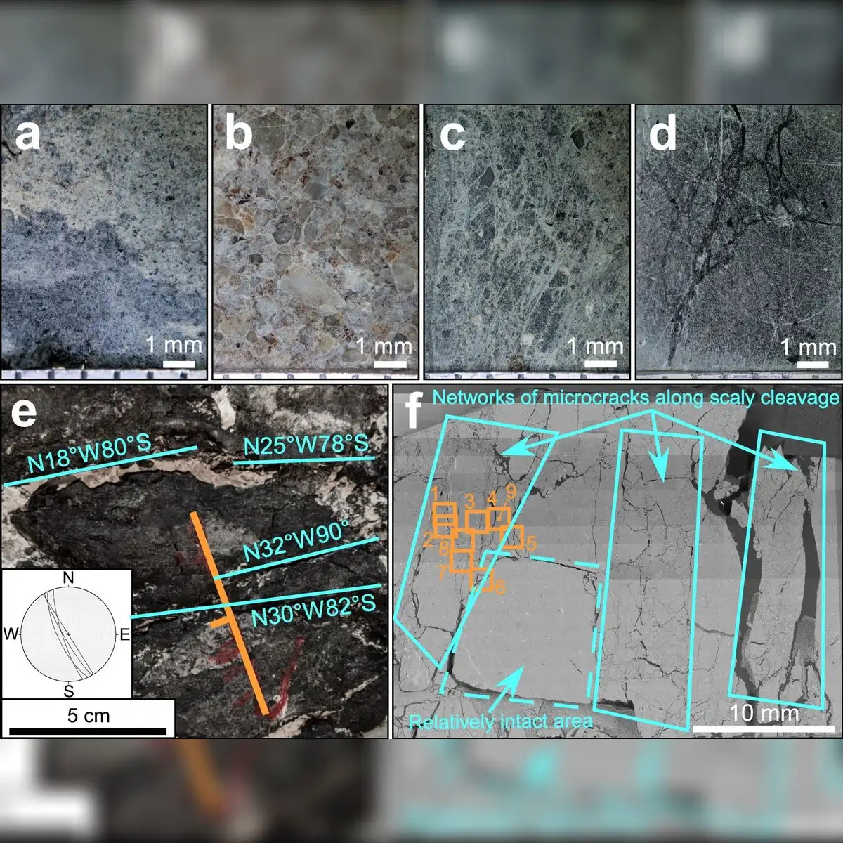 Muestras en las que se identificó CM similar al óxido de grafeno. Foto: Nature Communications