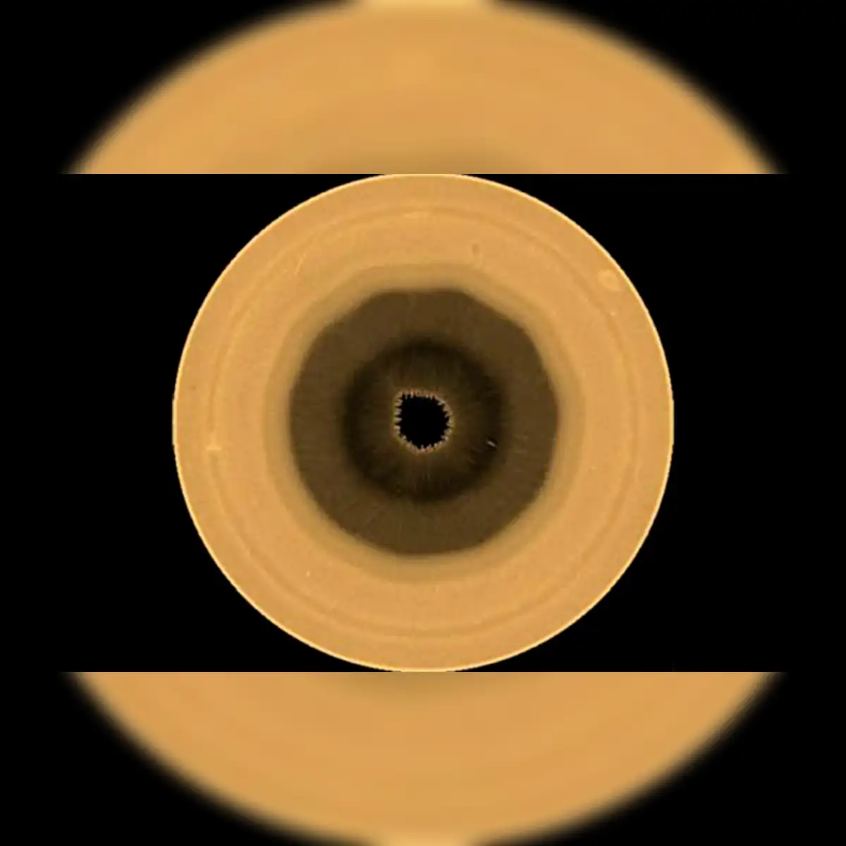 Proyección polar del hemisferio sur de Saturno a partir de datos del Hubble, que revela el decágono. Foto: NASA, ESA, A. Sánchez-Lavega
