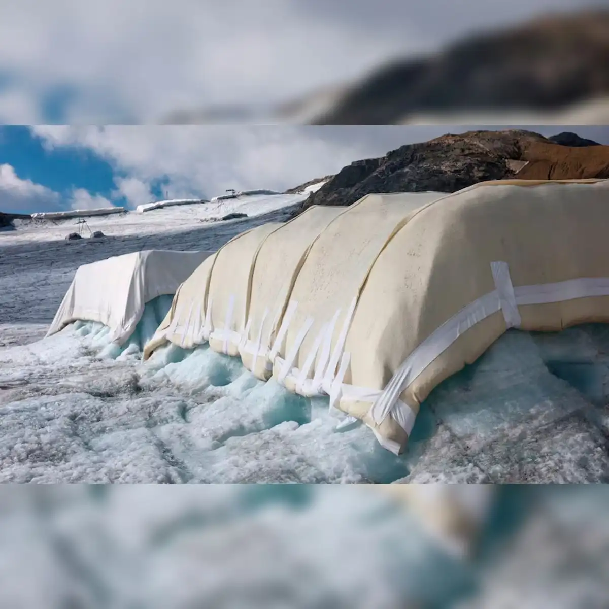 Un lugar de prueba de protección contra la nieve cubierto de lana de oveja. Foto: Keystone-SDA