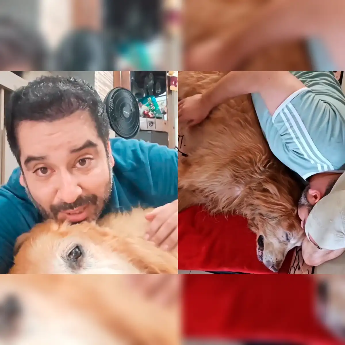 Junior Silva reveló que Bronco se negó a caminar, lo que intensificó la tristeza del artista por su fiel compañero.