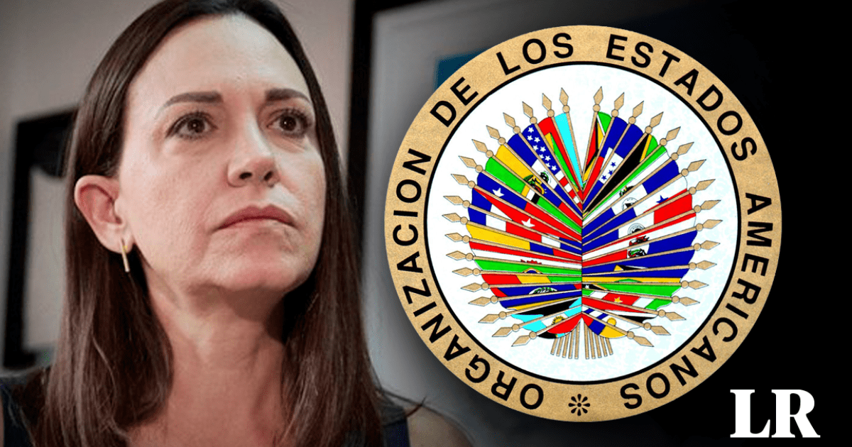 Oea Condena Inhabilitación De María Corina Machado Vulnera Derechos Políticos Y Civiles 3604