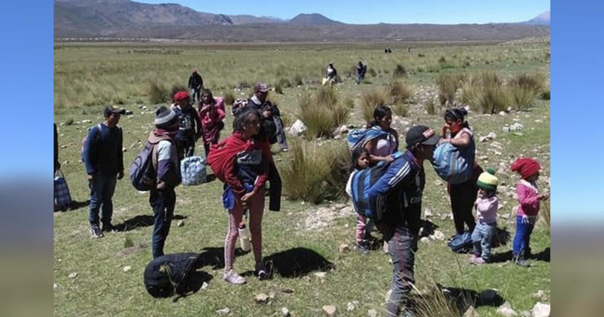 Familias Con Sus Hijos A Cuestas Dejan Arequipa Y Viajan A Pie Hacia Otras Regiones Puno 5816