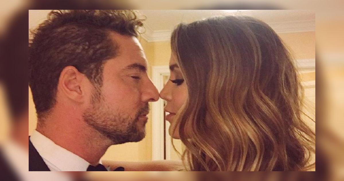 David Bisbal se casó con la bella modelo Rosanna Zanetti | Fotos en ...
