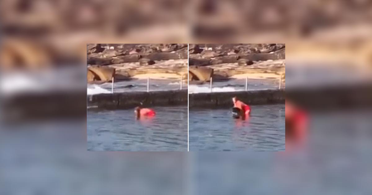 YouTube: Valiente mujer cargó un tiburón en el mar para salvar a su ...
