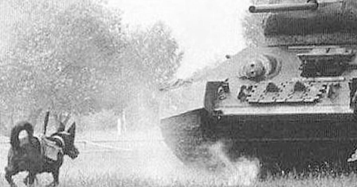 tanques rusos segunda guerra mundial