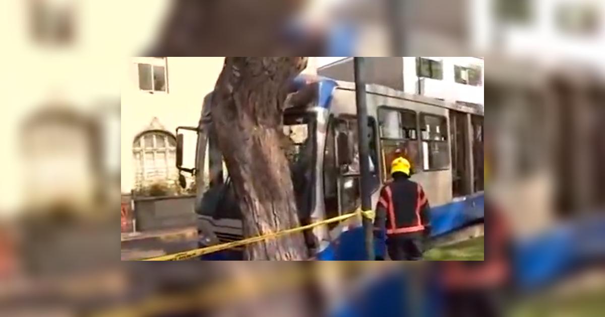 Corredor Azul: bus choca contra árbol y deja siete heridos en ...