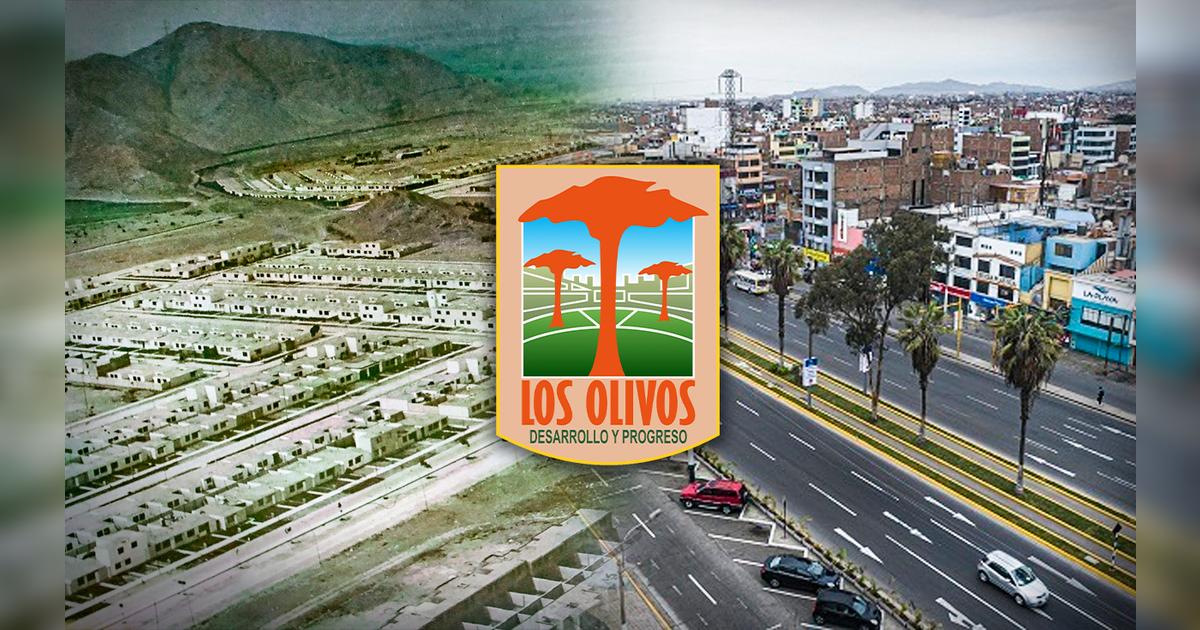 Los Olivos ¿por qué se llama así este distrito de Lima Norte y cuál es