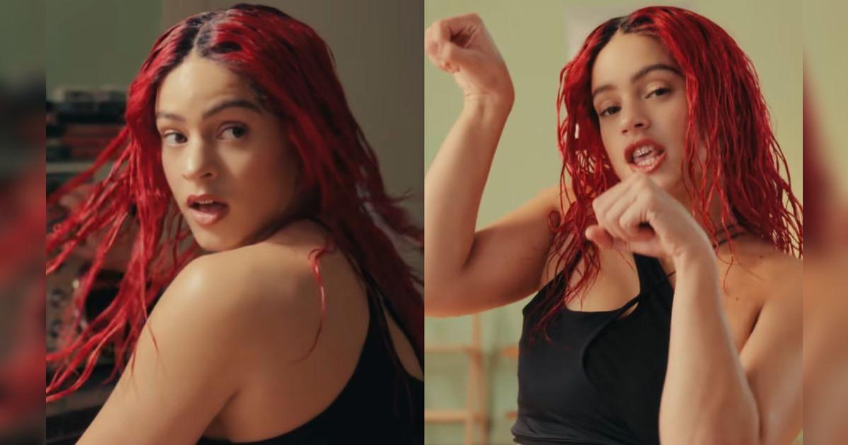 Rosalía ¿Qué es el chicken teriyaki y cuál es su significado en la