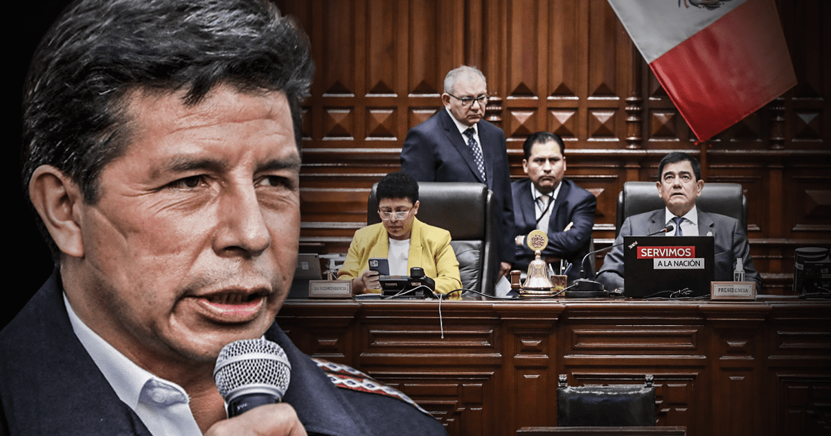 Pedro Castillo: Congreso Entablará Demanda Competencial Contra El Poder ...