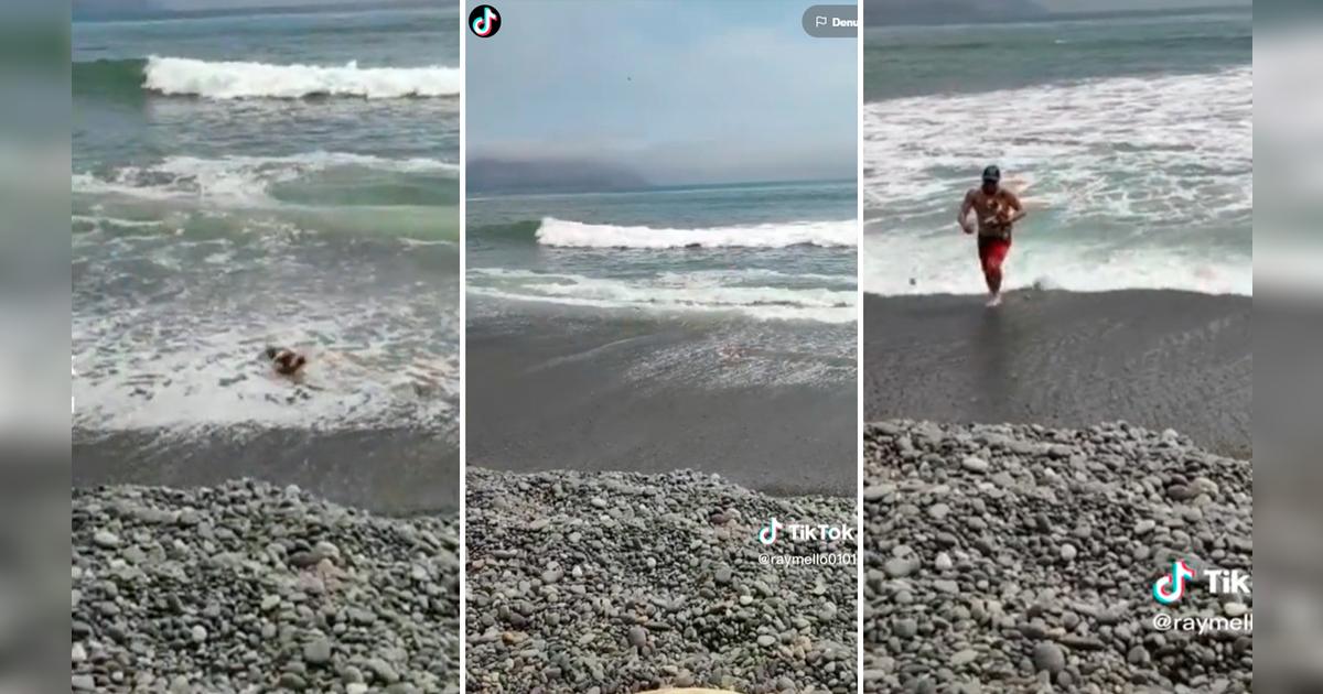 TikTok viral: Hombre lleva a su perrito a la playa para un día de ...