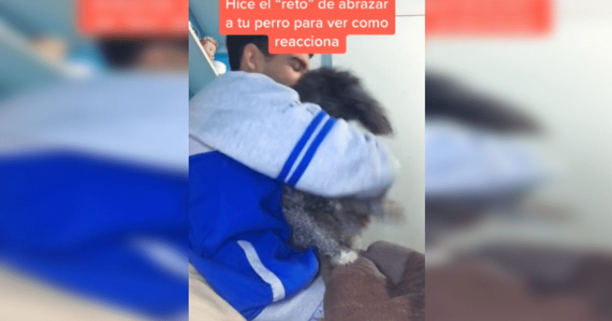 Tiktok Viral Joven Abraza A Su Perro Para Medir Su Reacción Y Este Lo Sorprende Con Su