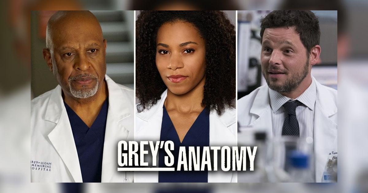 Grey'a Anatomy 16x13 Alex Karev Richard ber Owen Hunt y Maggie