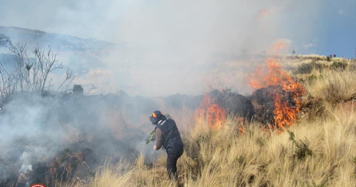 Incendio Forestal En Cusco Dañó Zona Arqueológica Del Valle Sagrado De ...