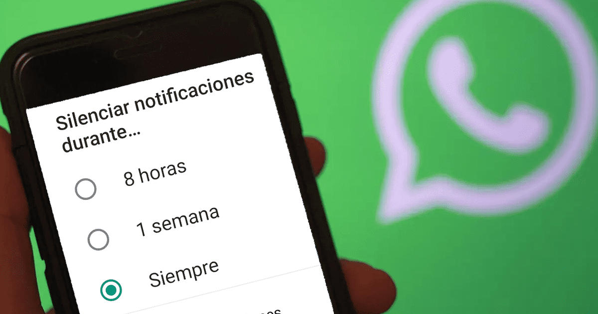 Whatsapp Ya Permite Silenciar Grupos Y Chats Privados Para Siempre Fotos Tecnología La República 6448