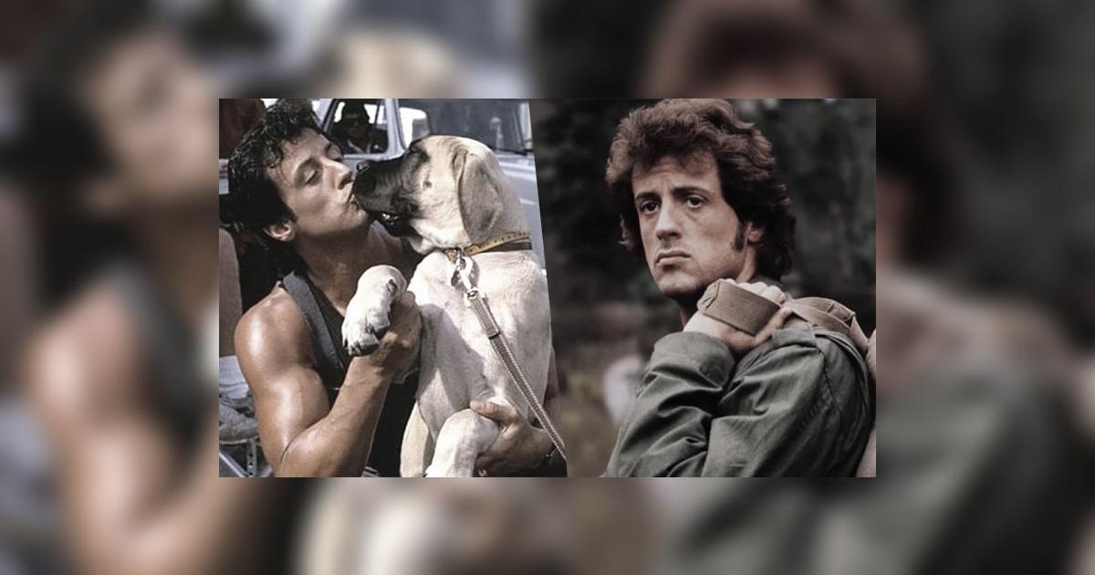 La historia de superación de Sylvester Stallone y cómo salvó a su perro ...