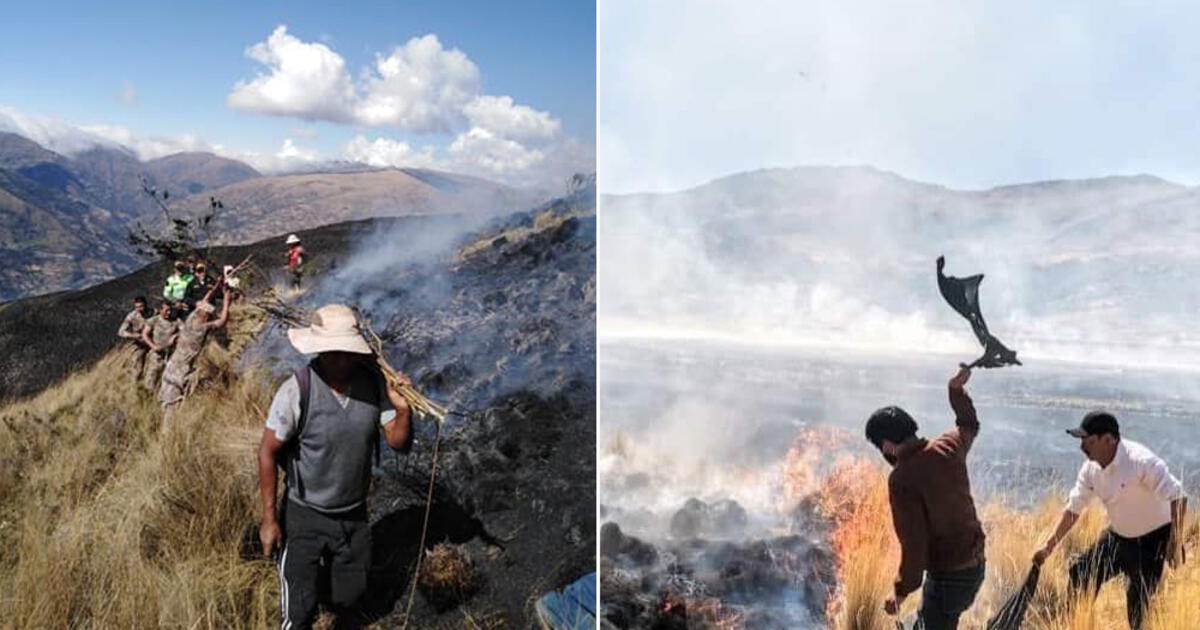 Incendios Forestales En Cusco Y Puno Arrasaron Con Decenas De Hectáreas De Pastizales Lrsd 0539