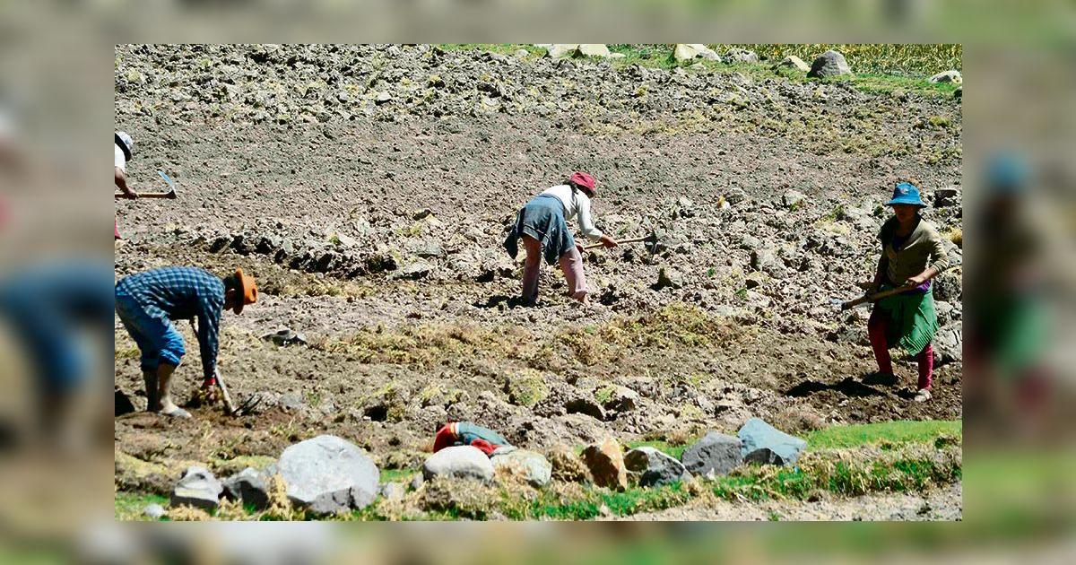 Puno se suma al paro agrario del 13 de mayo | Política | La República