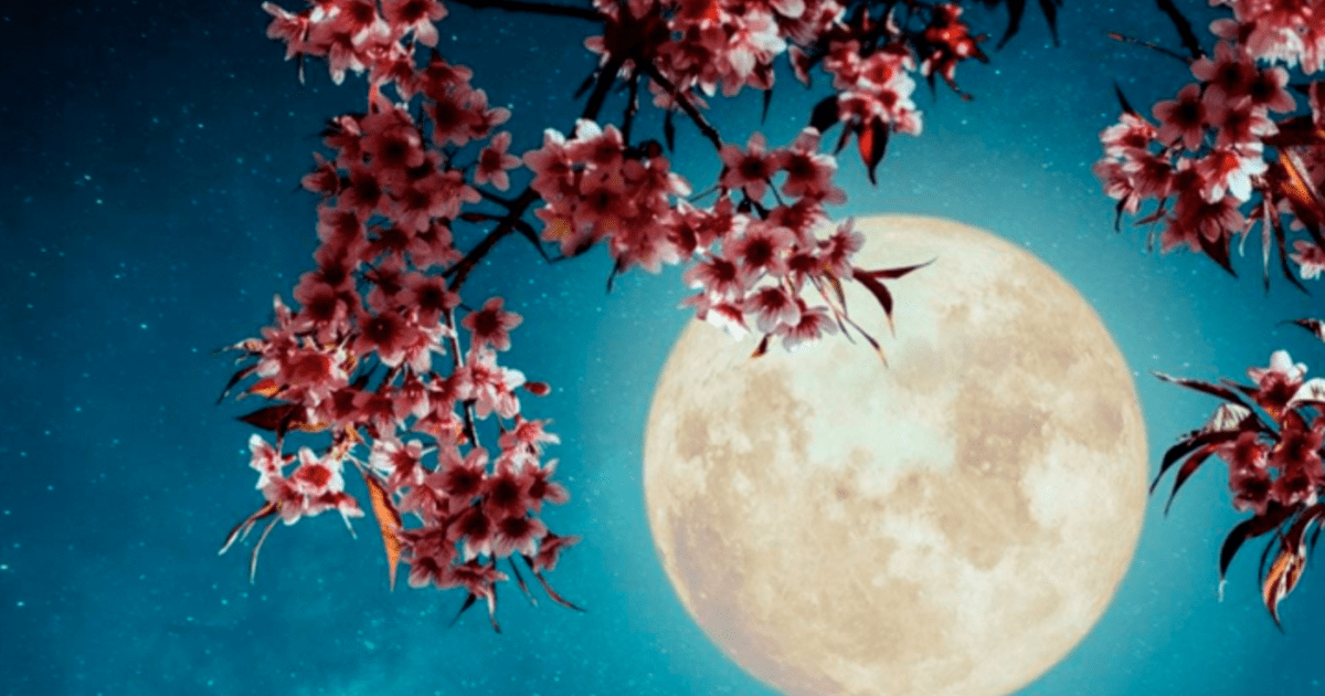 Superluna Mayo 2020 Cómo Dónde Y A Qué Hora Ver última Luna Llena De Flores En México Nchs 8044