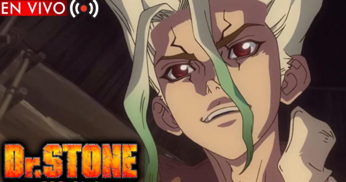 dr stone temporada 2 capitulo 8 latino español｜TikTok Search