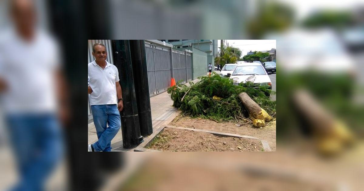 Vecinos de San Isidro se oponen a tala de árboles ordenada por ...