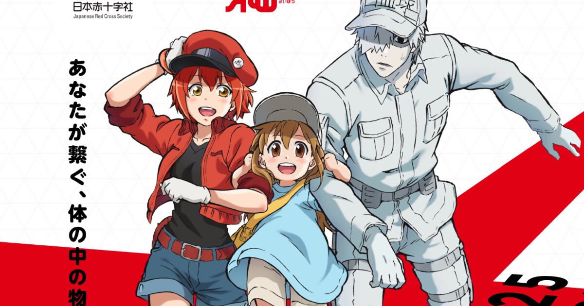 Hataraku Saibou Segunda Temporada Revelan Primer Tráiler Promocional ...