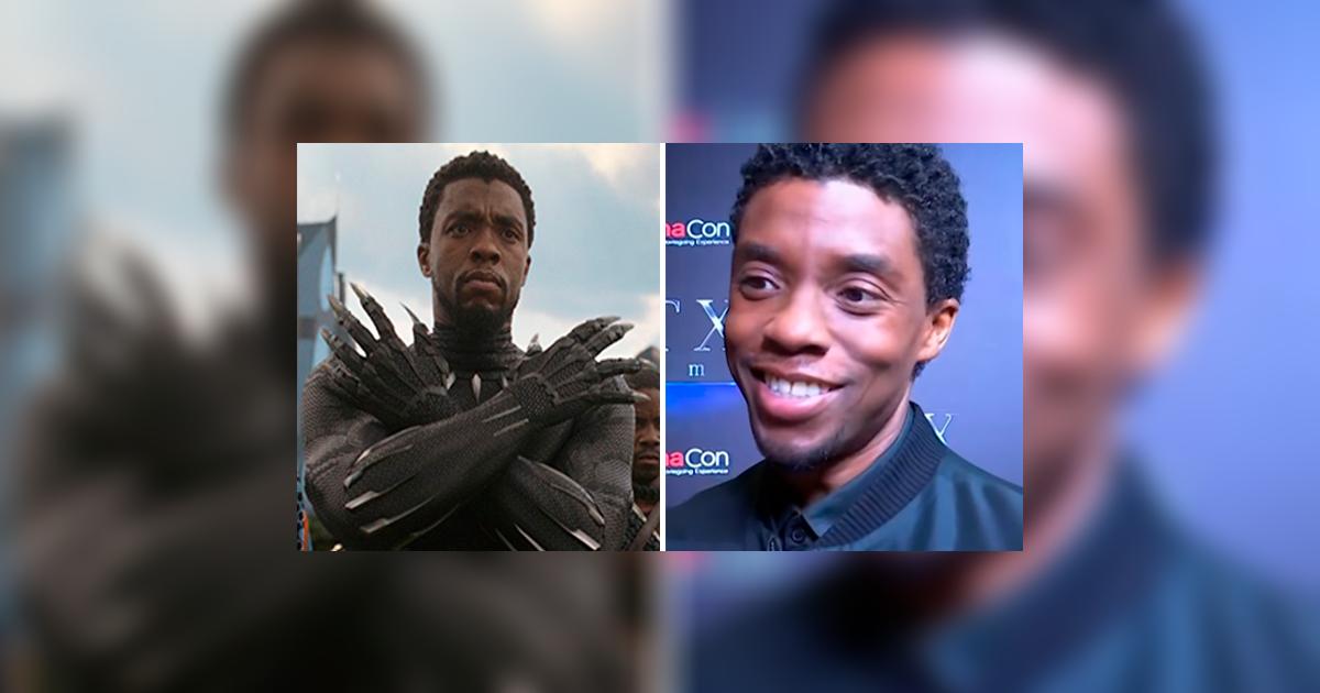 Avengers Endgame Black Panther, Chadwick Boseman, da irónica