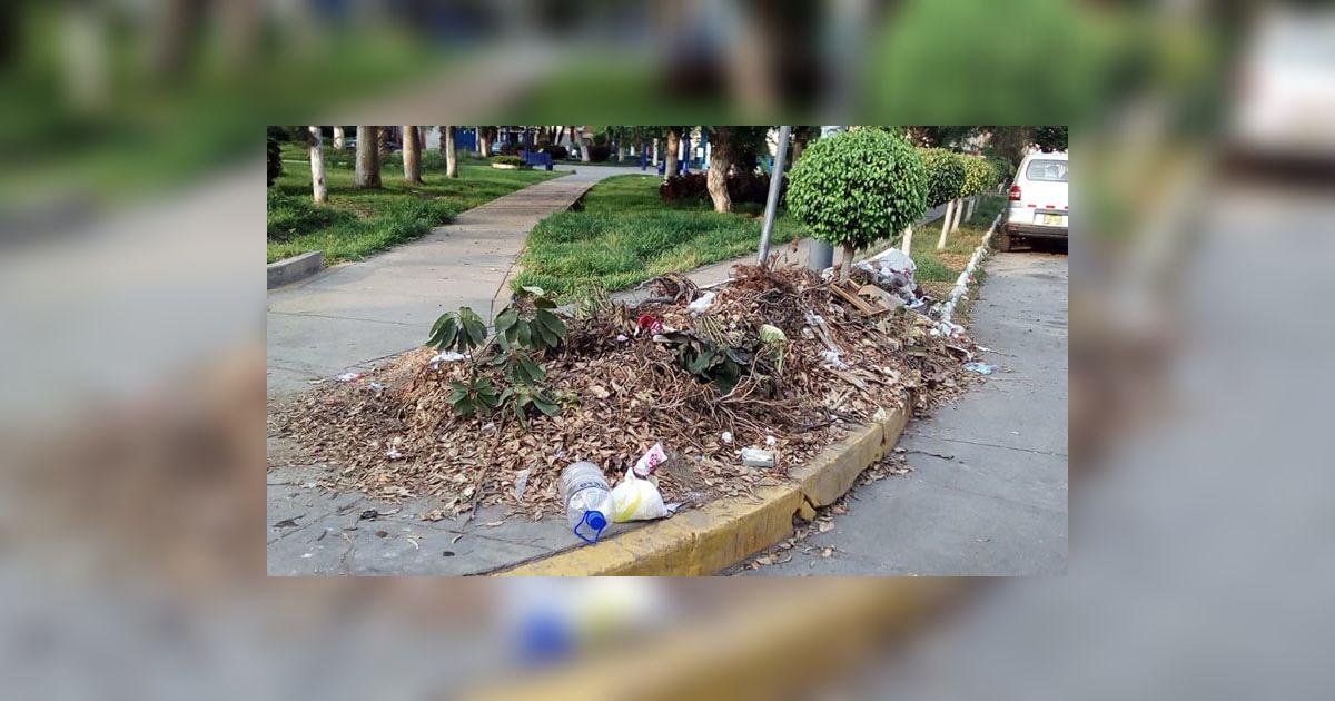 San Luis: exigen recojo de basura en calles y parques del distrito ...