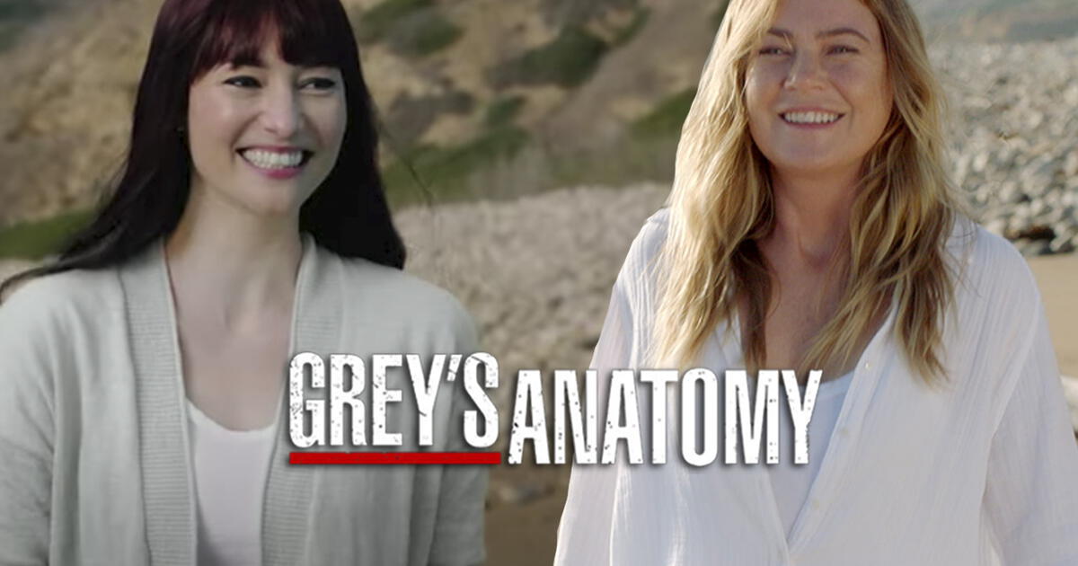 Grey’s anatomy 17: ¿qué pasó con chyler leigh tras la muerte de lexie grey?