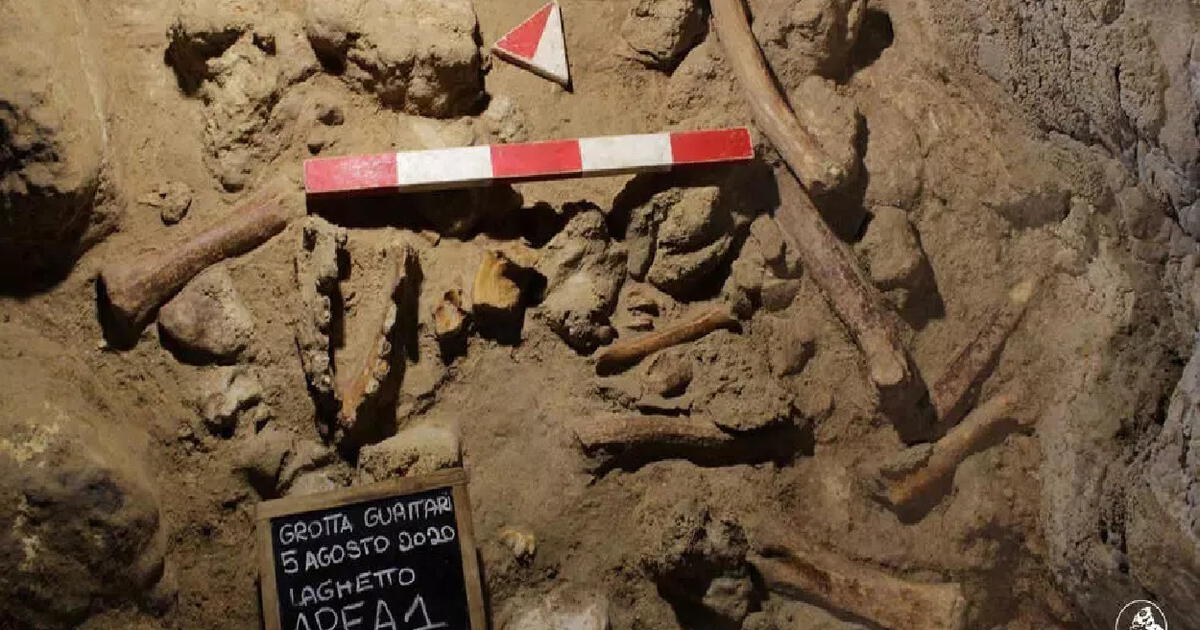 Trovano prove dell'esistenza di nove uomini di Neanderthal in una grotta in Italia  Scienze