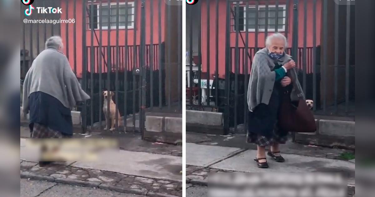 TikTok viral: adulta mayor alimenta a perro sin hogar al volver de la ...