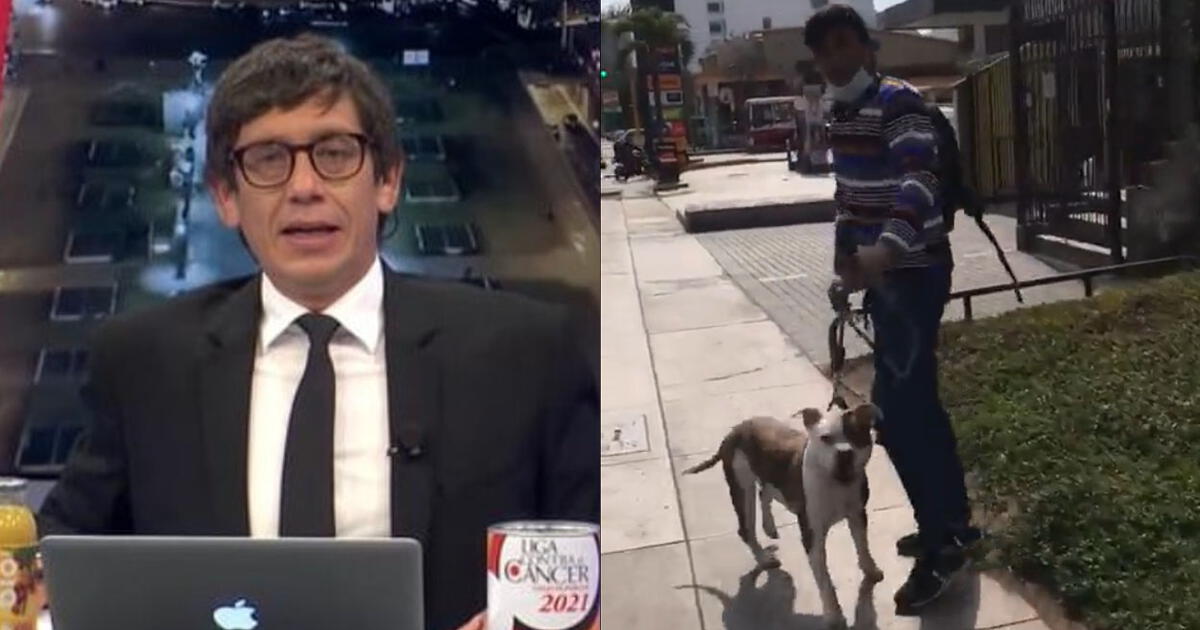 Jaime Chincha Reveló Que Fue Mordido Por Un Perro Pitbull: “Me Atacó ...