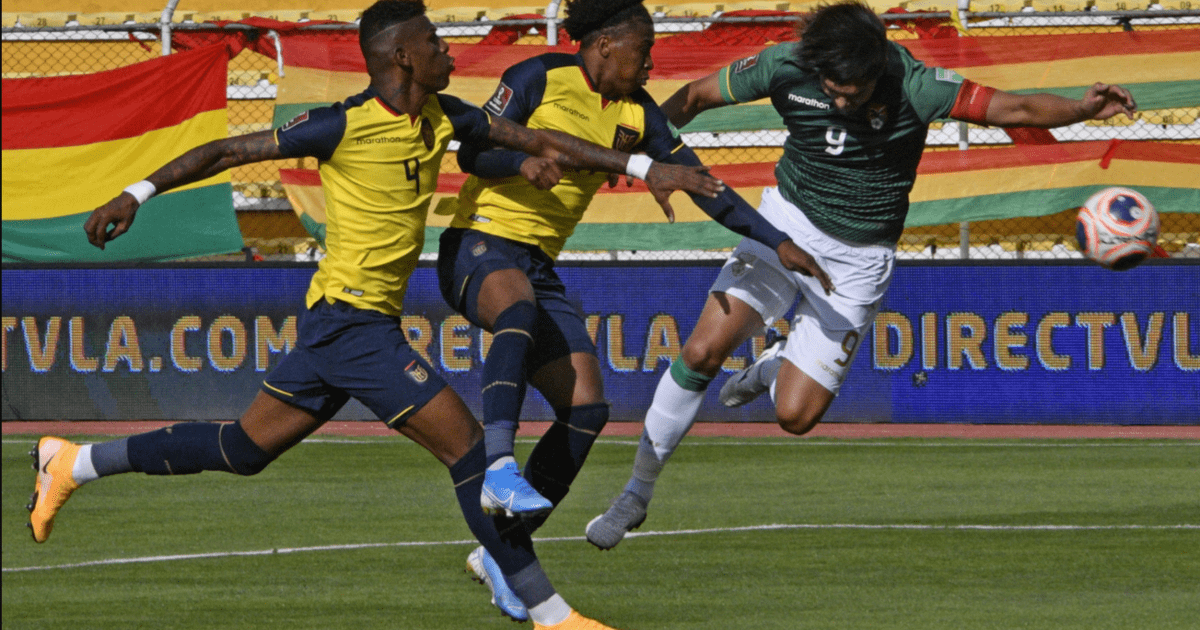 Roja Directa: Ver Partido Ecuador Vs Bolivia EN VIVO Eliminatorias ...