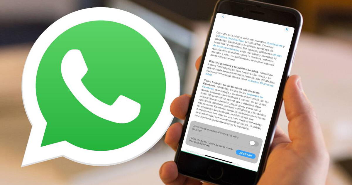 Whatsapp ¿qué Ocurrirá Con Tu Teléfono Si No Aceptas Las Nueva Políticas Antes Del 6 De 4048