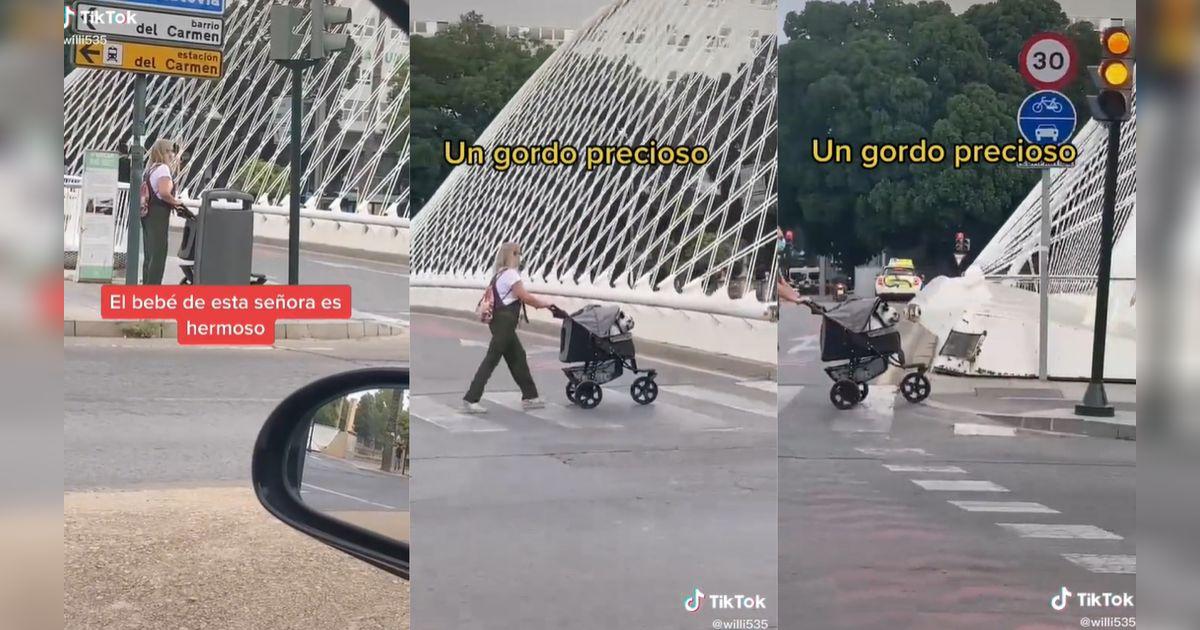 TikTok viral: Mujer lleva a pasear a su perrito en un coche de bebé y ...