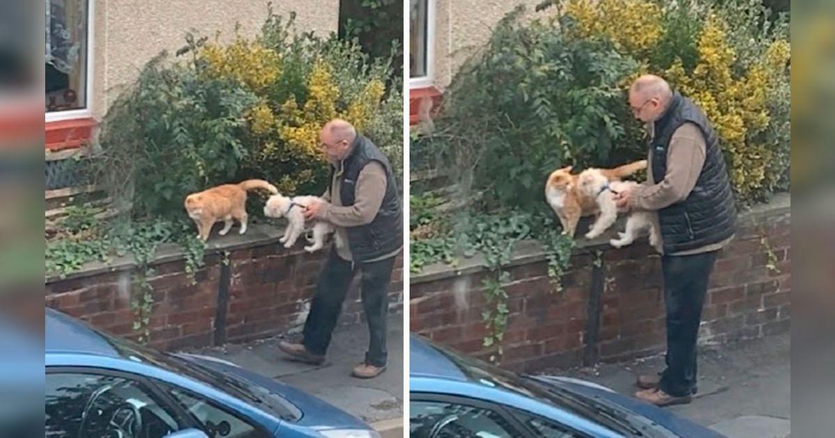 TikTok viral: adulto mayor detiene su paseo para que su perro conozca a ...