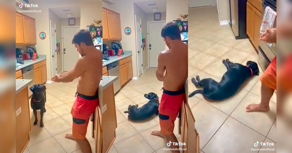 TikTok Viral: Hombre juega a los disparos con su adorable perrito y ...