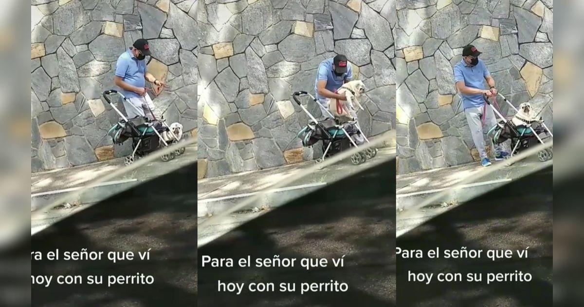TikTok viral: Abuelito lleva a su perrito en un coche de bebé cuando ...