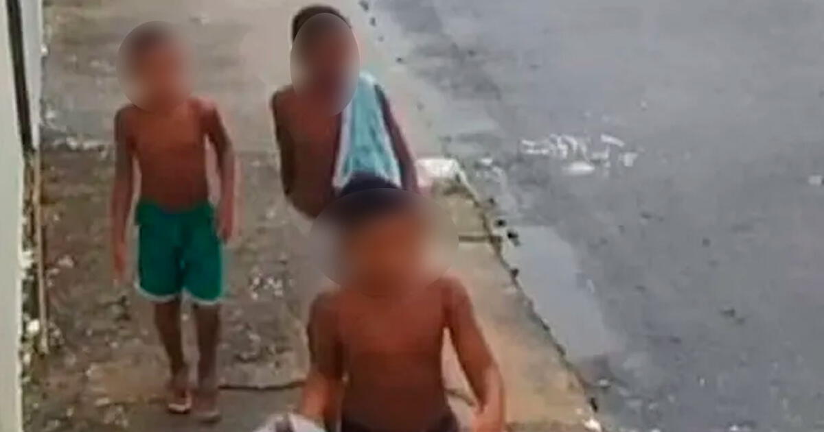 Brasil El Atroz Crimen De Tres Niños Torturados Y Asesinados Por Robar El Ave De Un Narco 2681