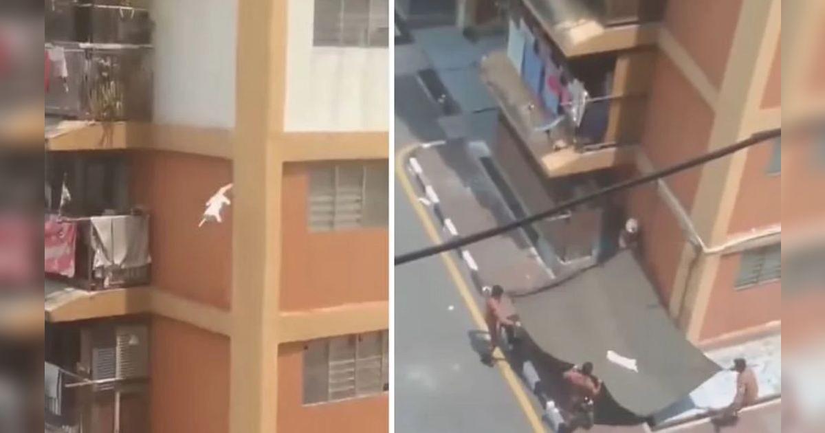 TikTok viral: Vecinos salvan a un gato que caía desde el décimo piso de ...