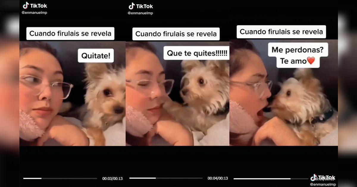 TikTok viral perrita se rebela a su dueña y le da una ‘bofetada’, pero