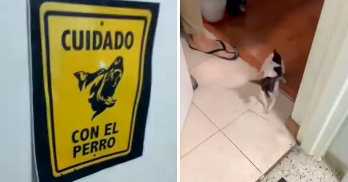 Facebook viral: joven pone cartel para que tengan cuidado con su perro,  pero descubren que solo era chihuahua, Tendencias