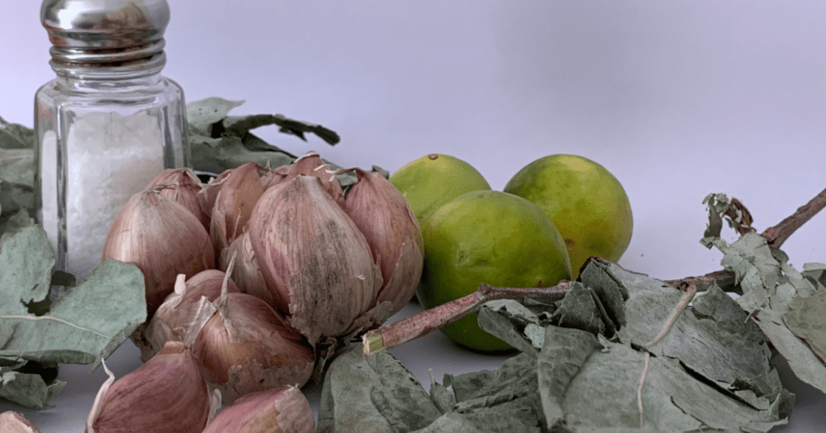 Remedios Caseros De Plantas Medicinales: Qué Son Y Para Qué Sirven ...